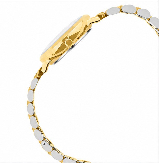 Logues Analog Watch for Women | L 6228 BM-05